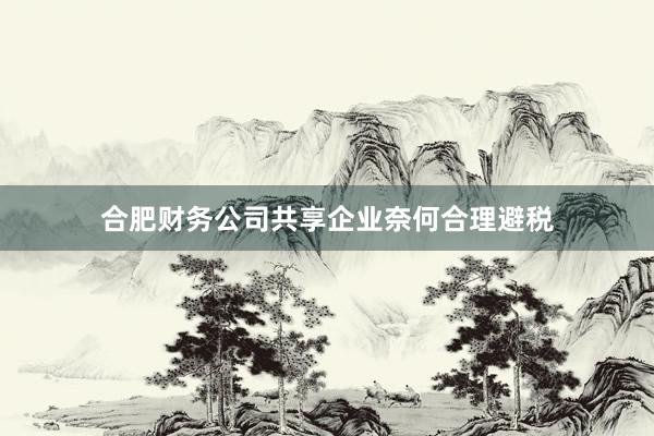 合肥财务公司共享企业奈何合理避税